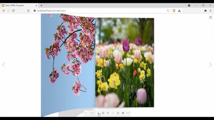3D FlipBook : Dflip Lite plugin